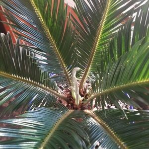 Meet your Posher, Keith